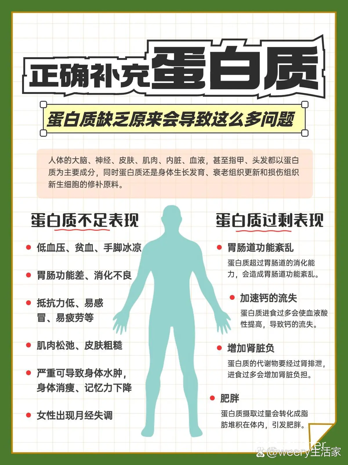 蛋白质补充示意图