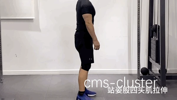 动态拉伸示意图