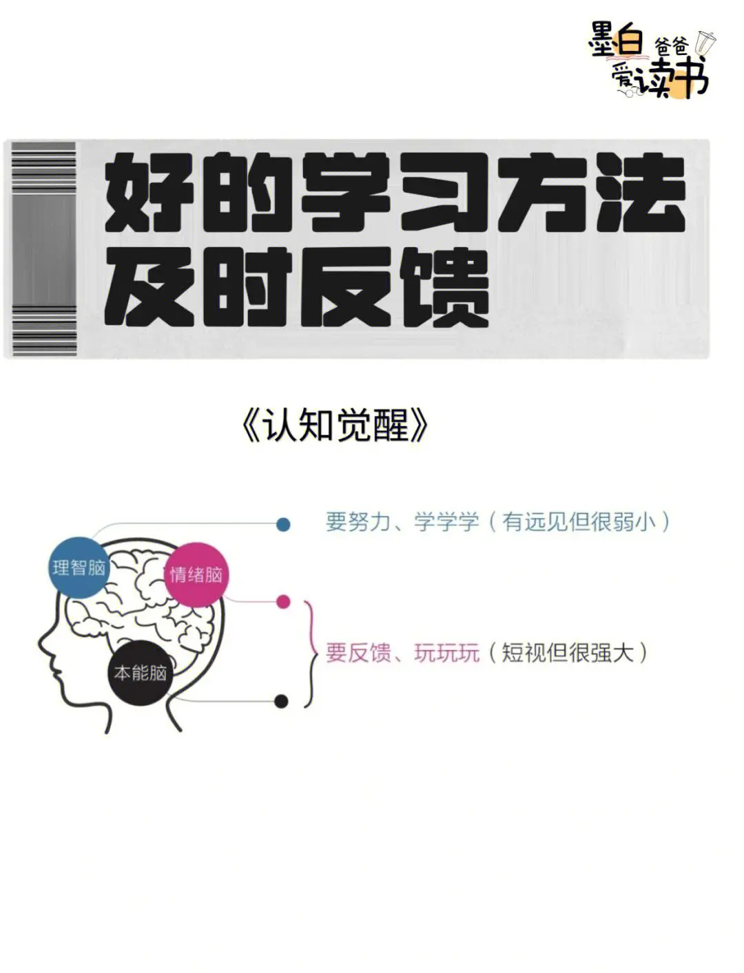 反馈的重要性