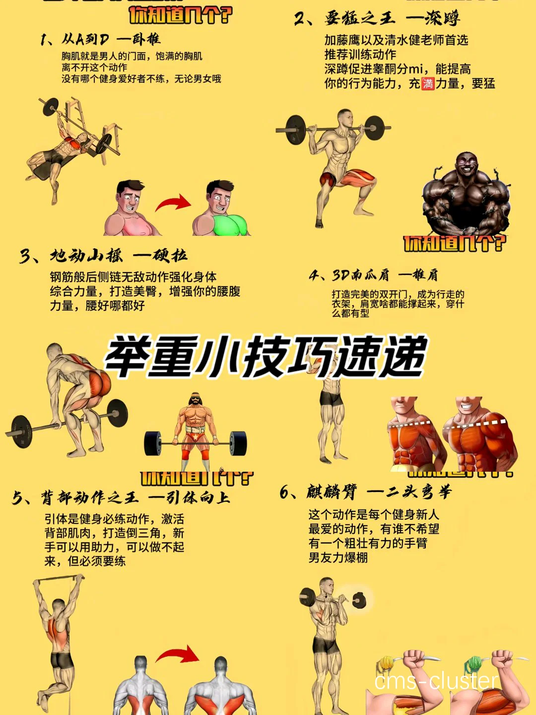 分阶段训练示意图