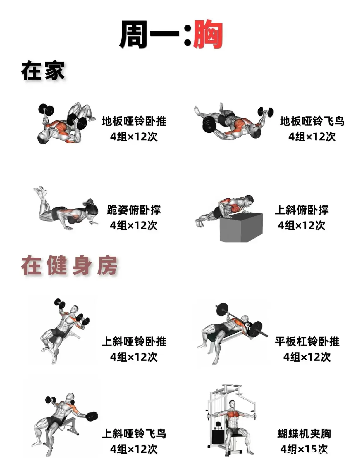 高强度循环训练示意图