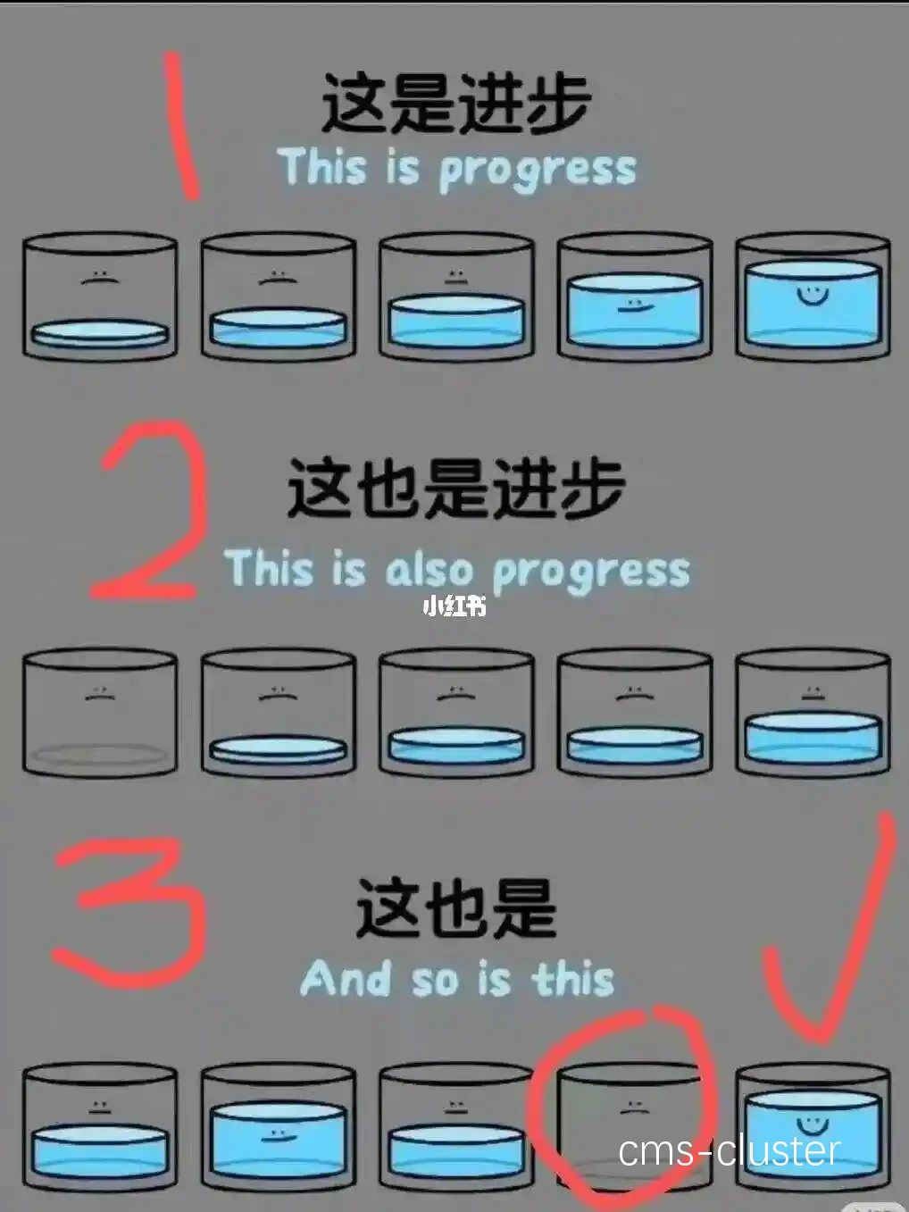 个性化训练案例