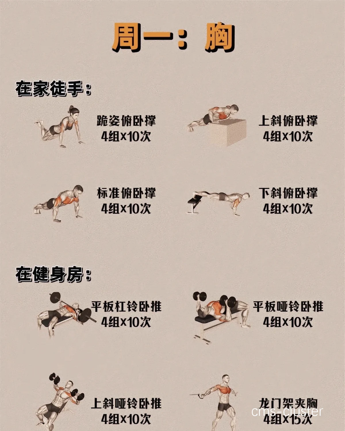 个性化训练方案