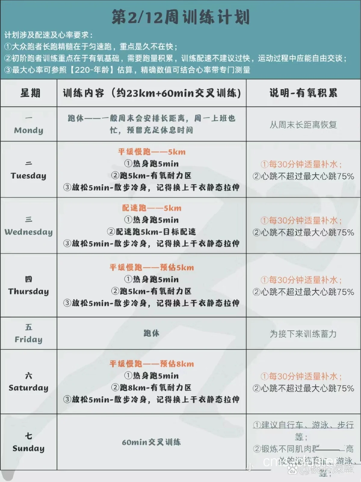个性化训练计划