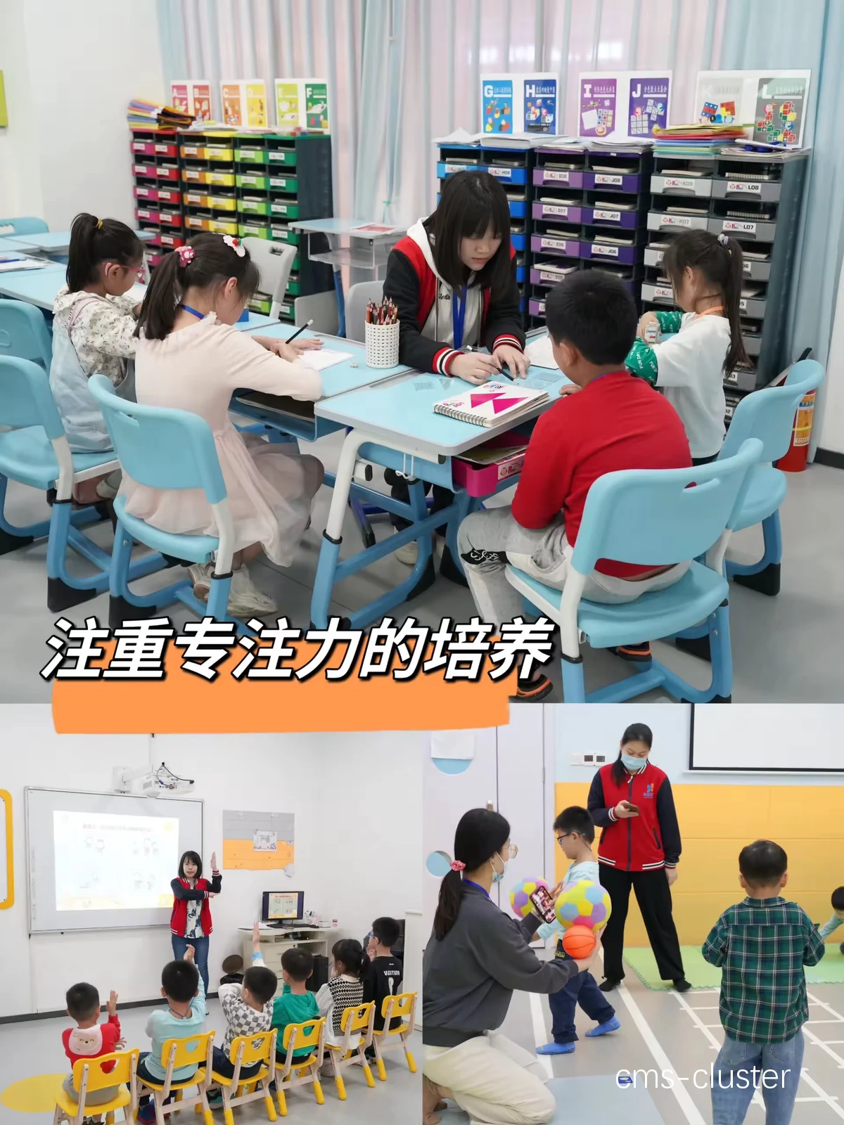 个性化训练