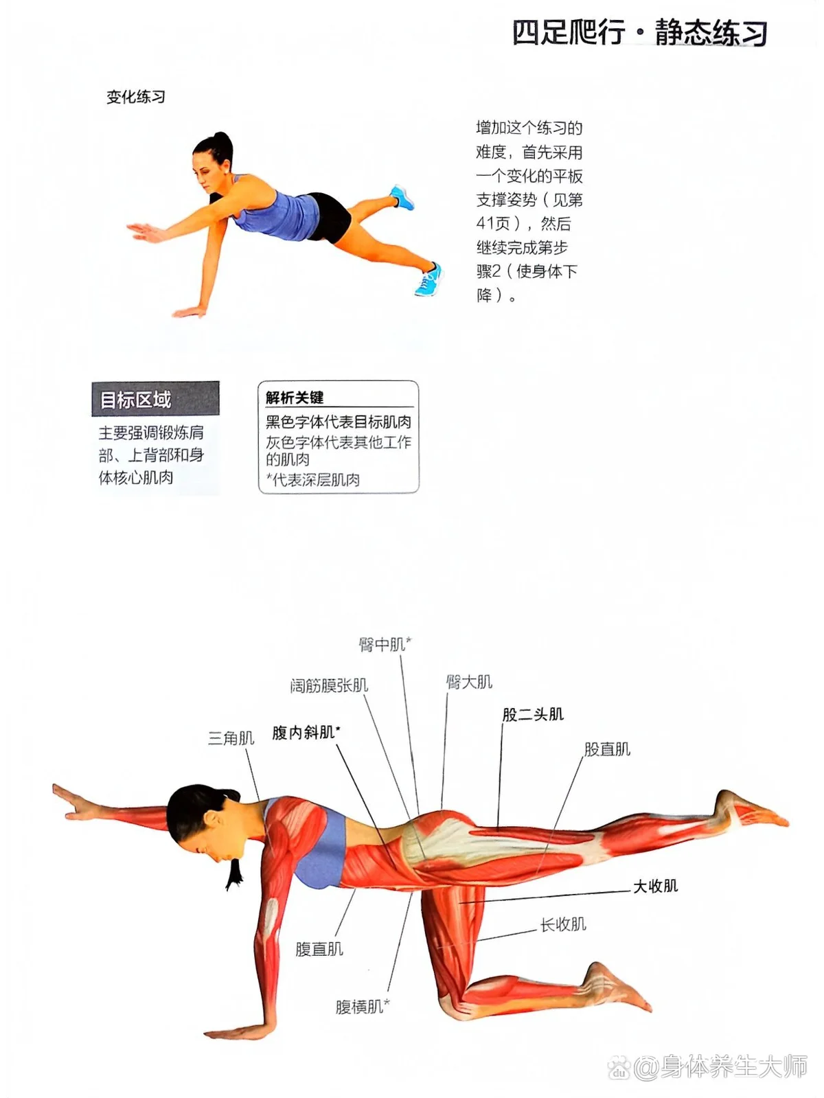 核心训练示例