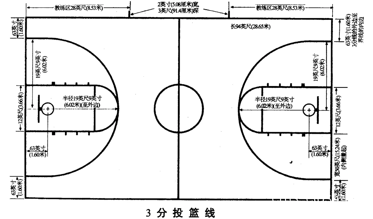 篮球爱好者的兴趣分布