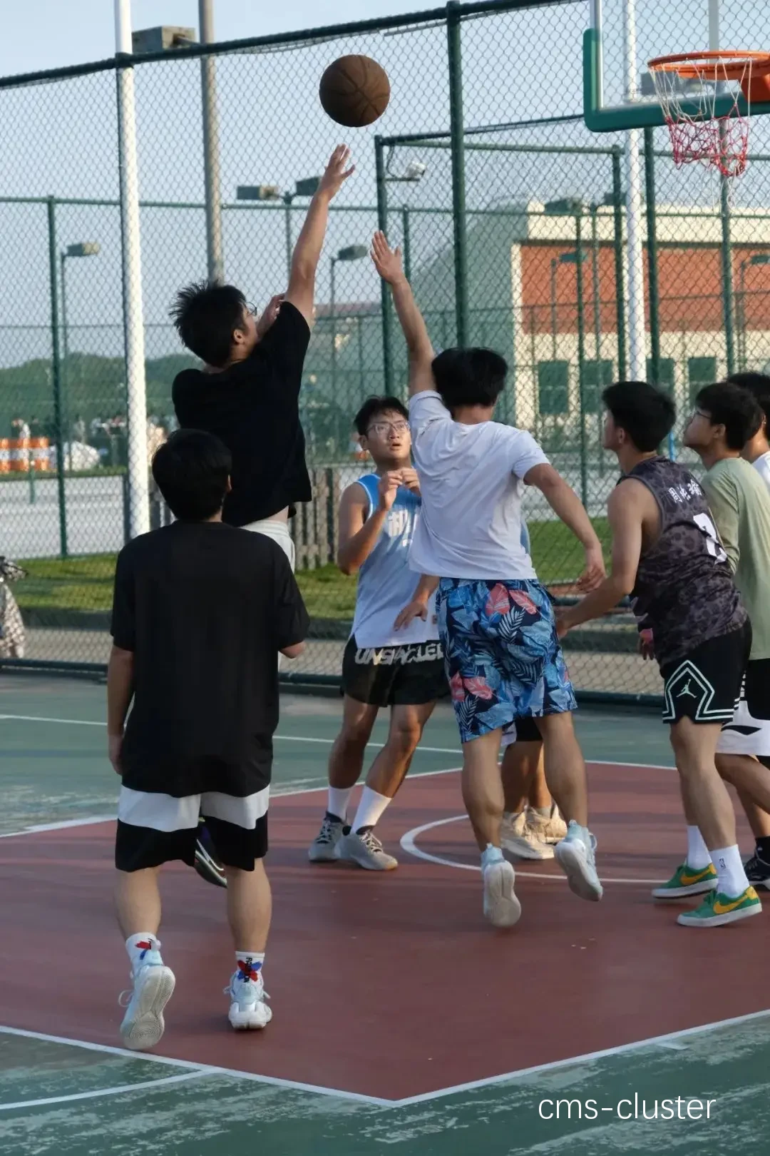 篮球爱好者合影
