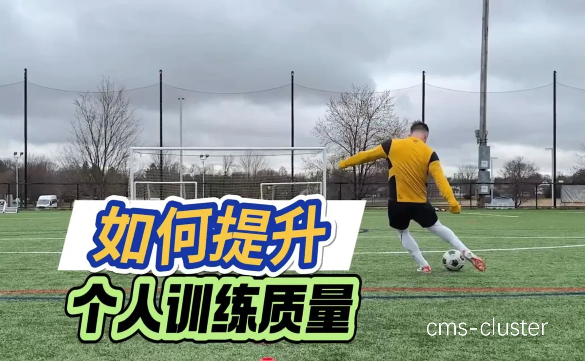 篮球天赋训练总结