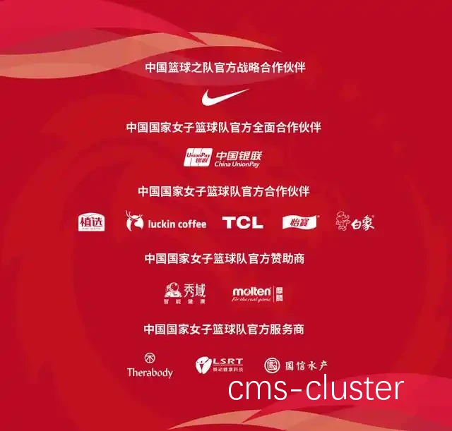 篮球运动员与赞助商合作