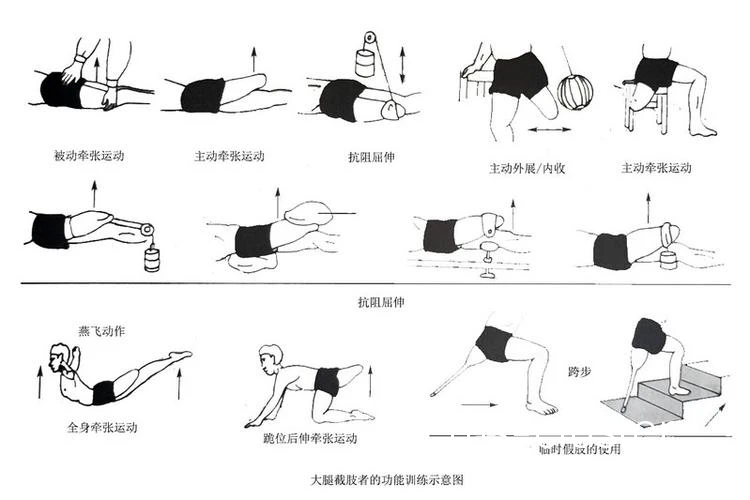 力量训练示意图