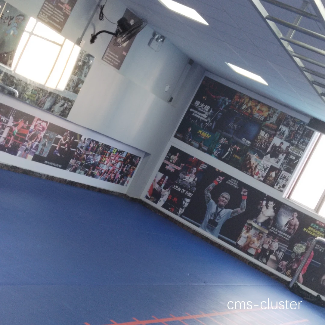Mamba Academy 训练场景