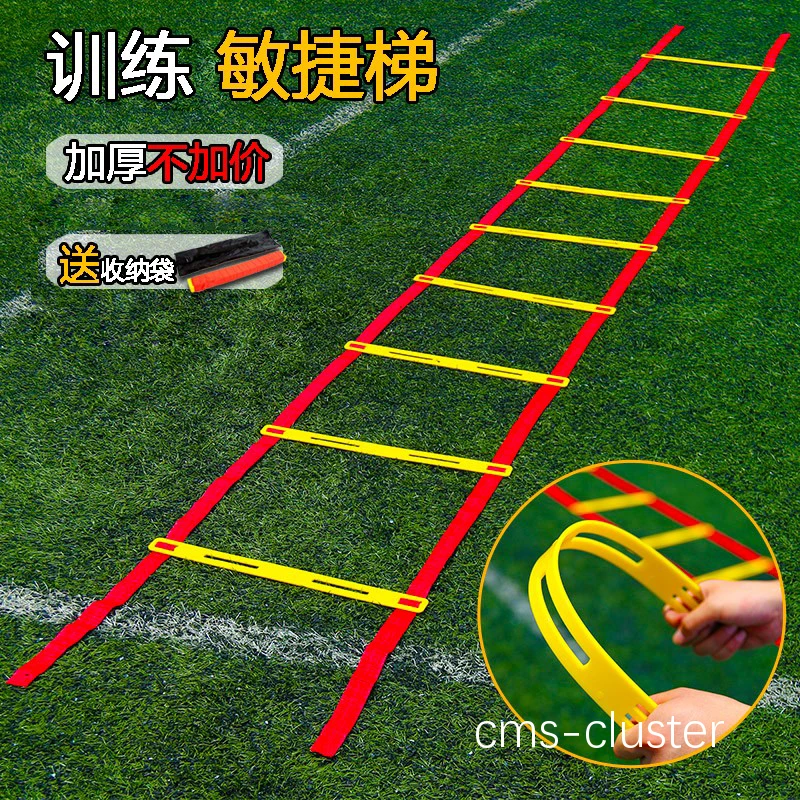 敏捷梯训练示例