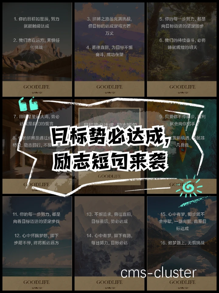 目标导向型激励的实际案例