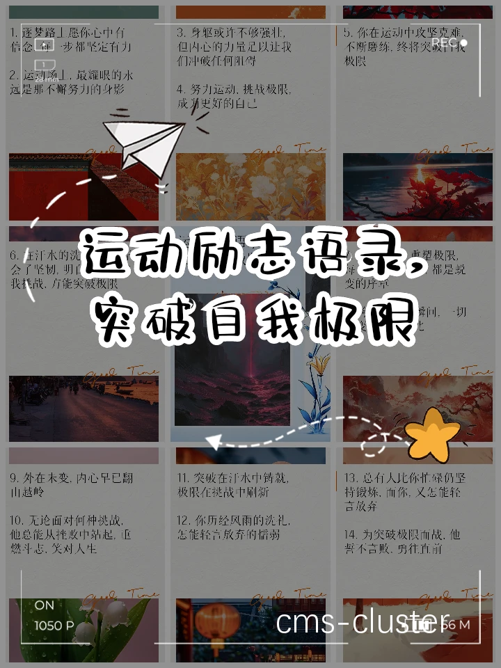 目标设定流程图