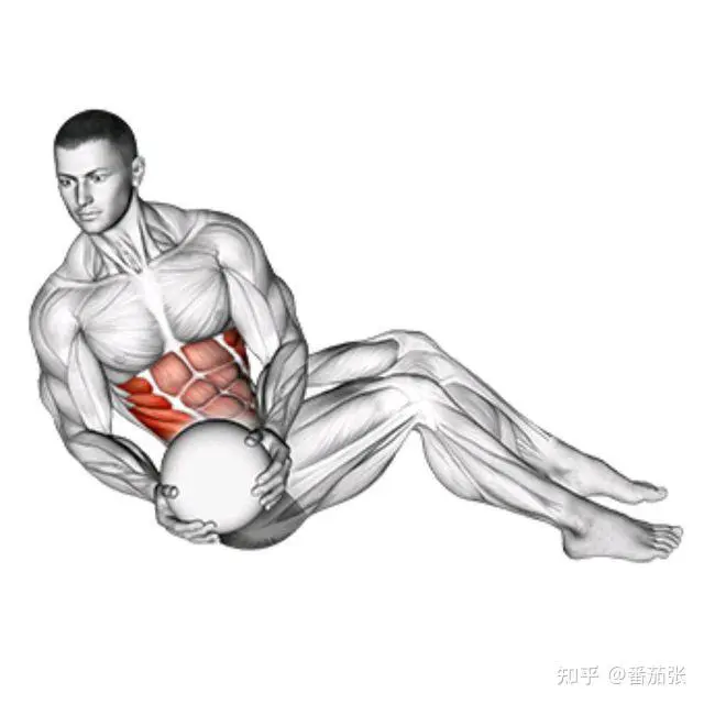 女篮运动员进行核心力量训练