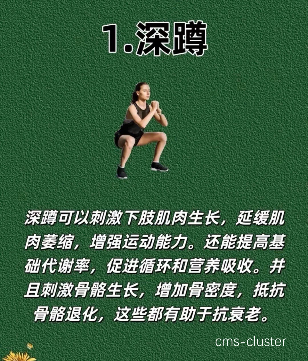 女性篮球运动员力量训练