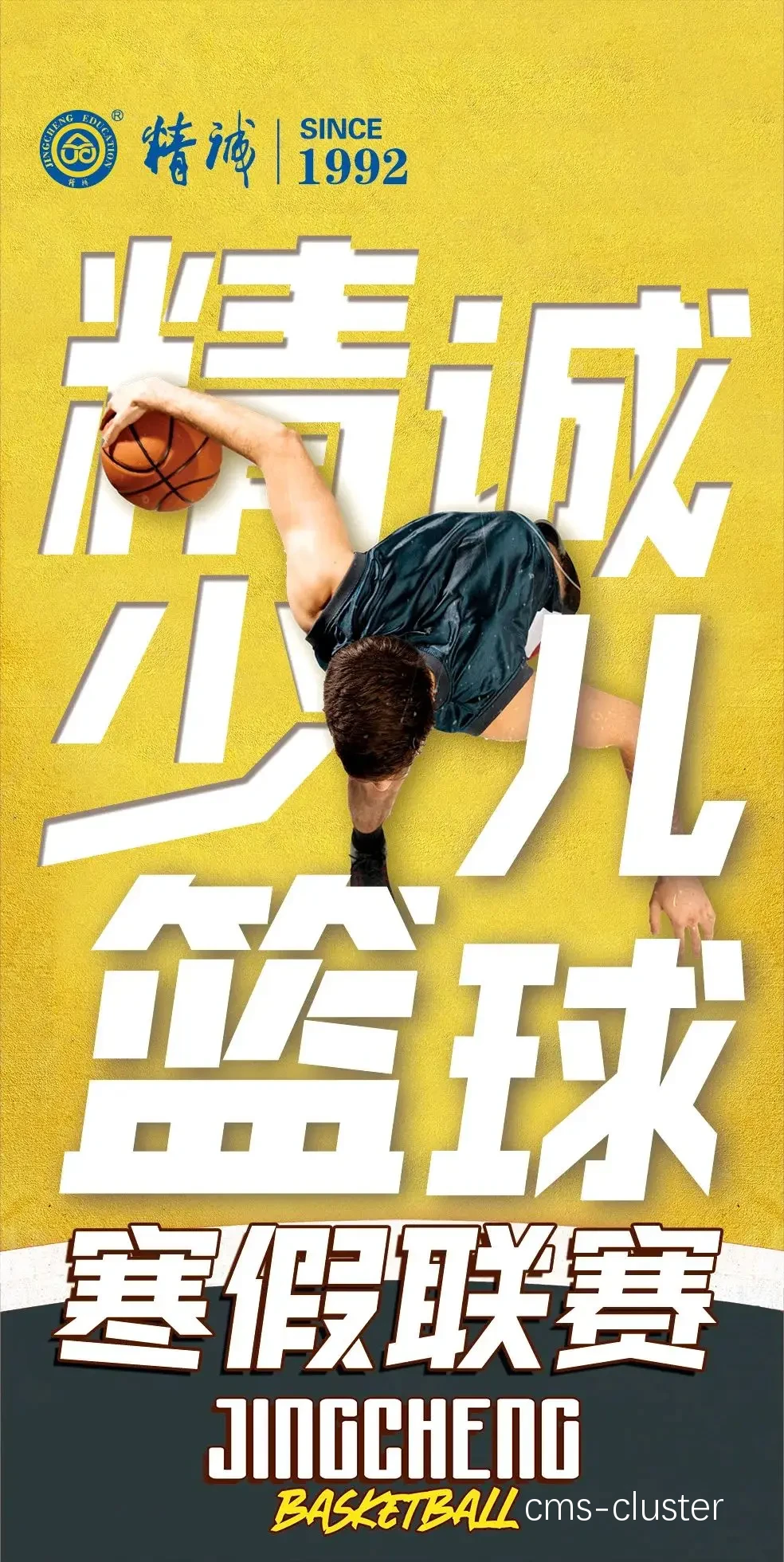 青少年篮球梦想