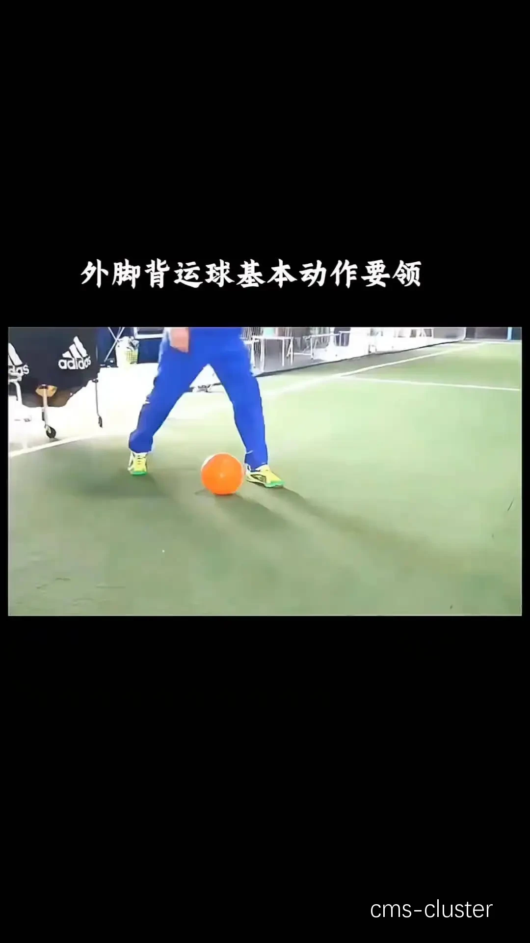 视频分析截图
