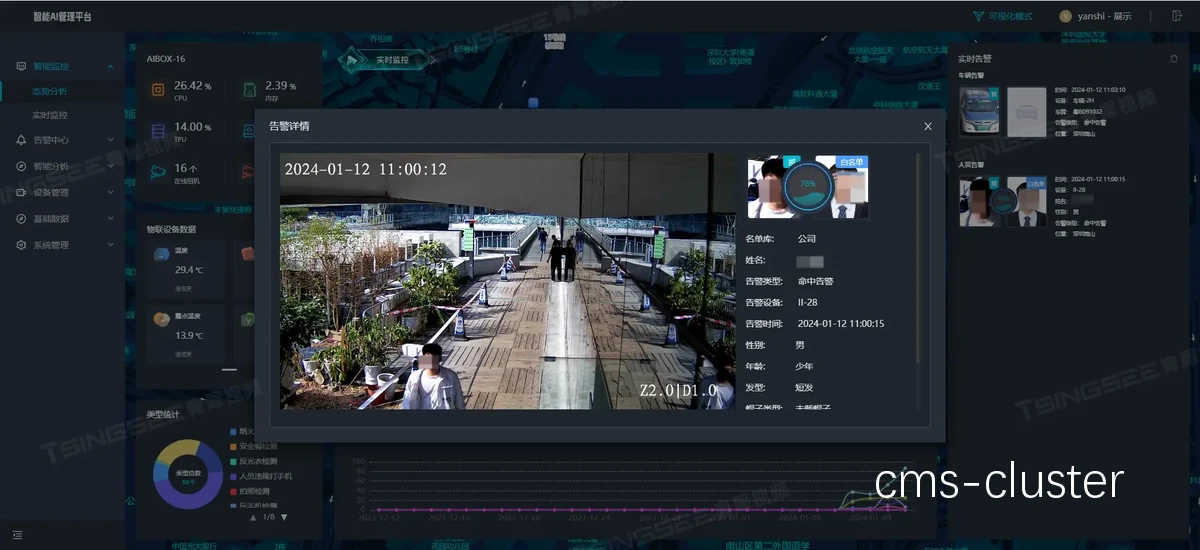 视频分析软件界面