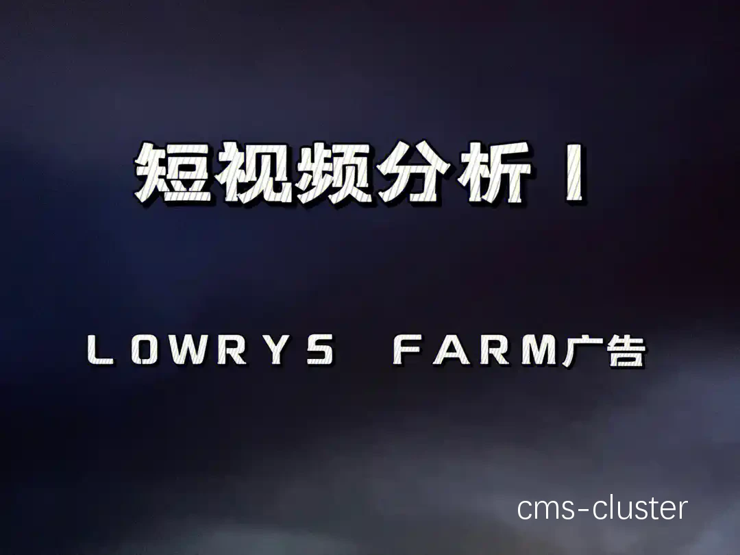 视频分析示例