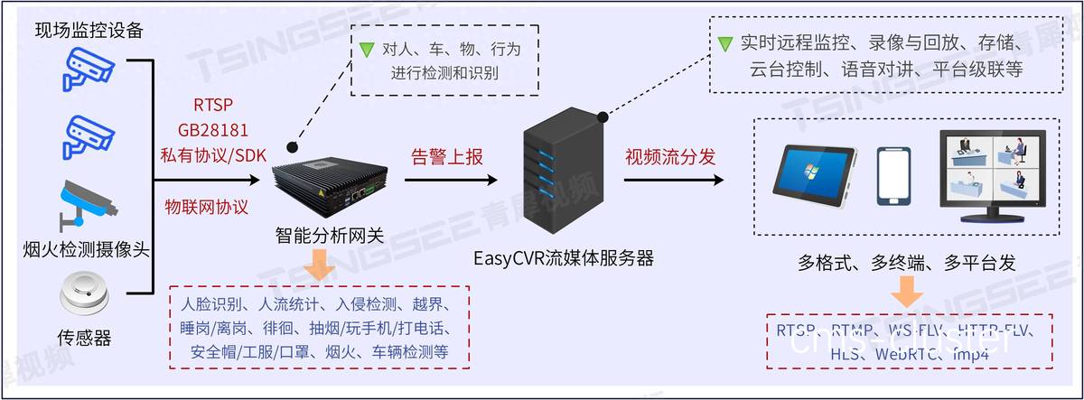视频分析系统