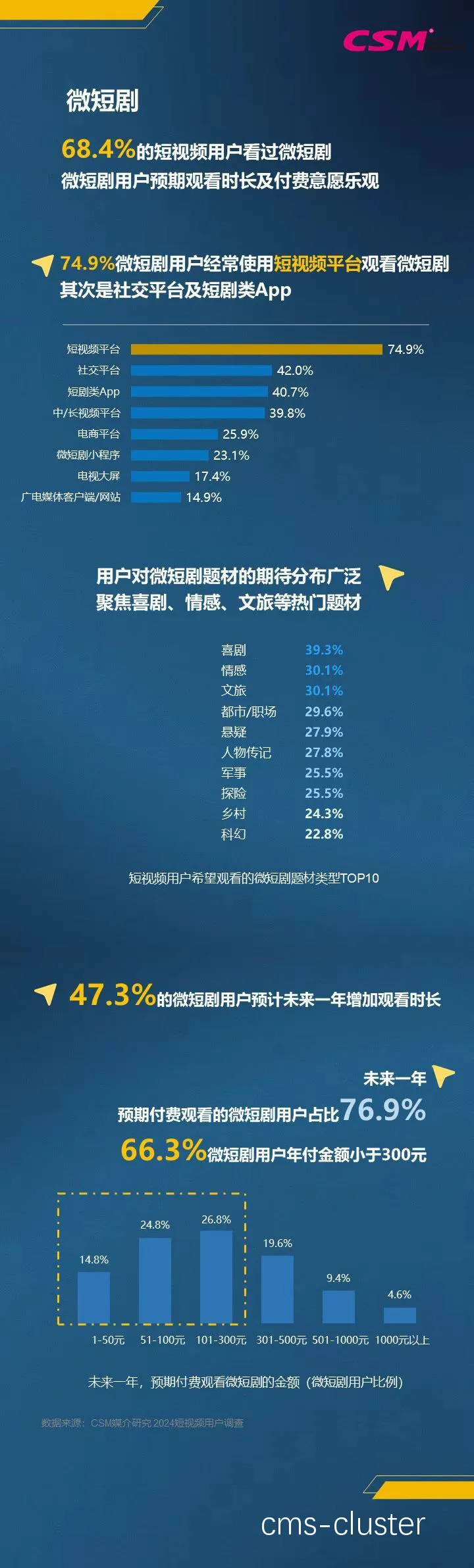 视频广告示例