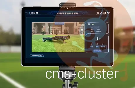 数据分析流程图