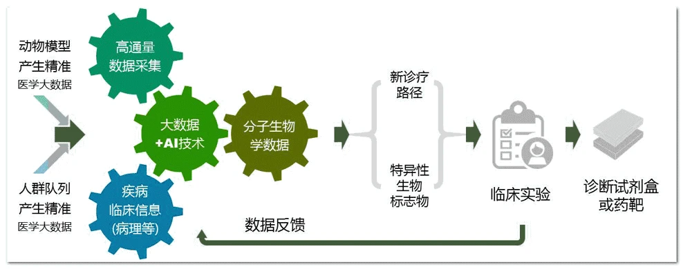 数据驱动的营养调整