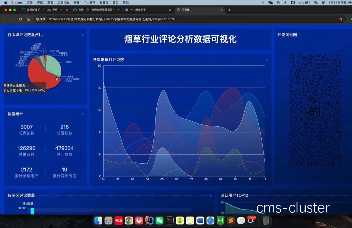 数字化视频分析流程