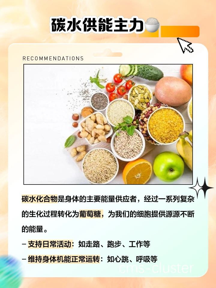 碳水化合物的重要性