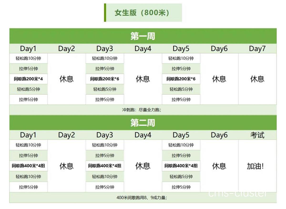 体能评估示例