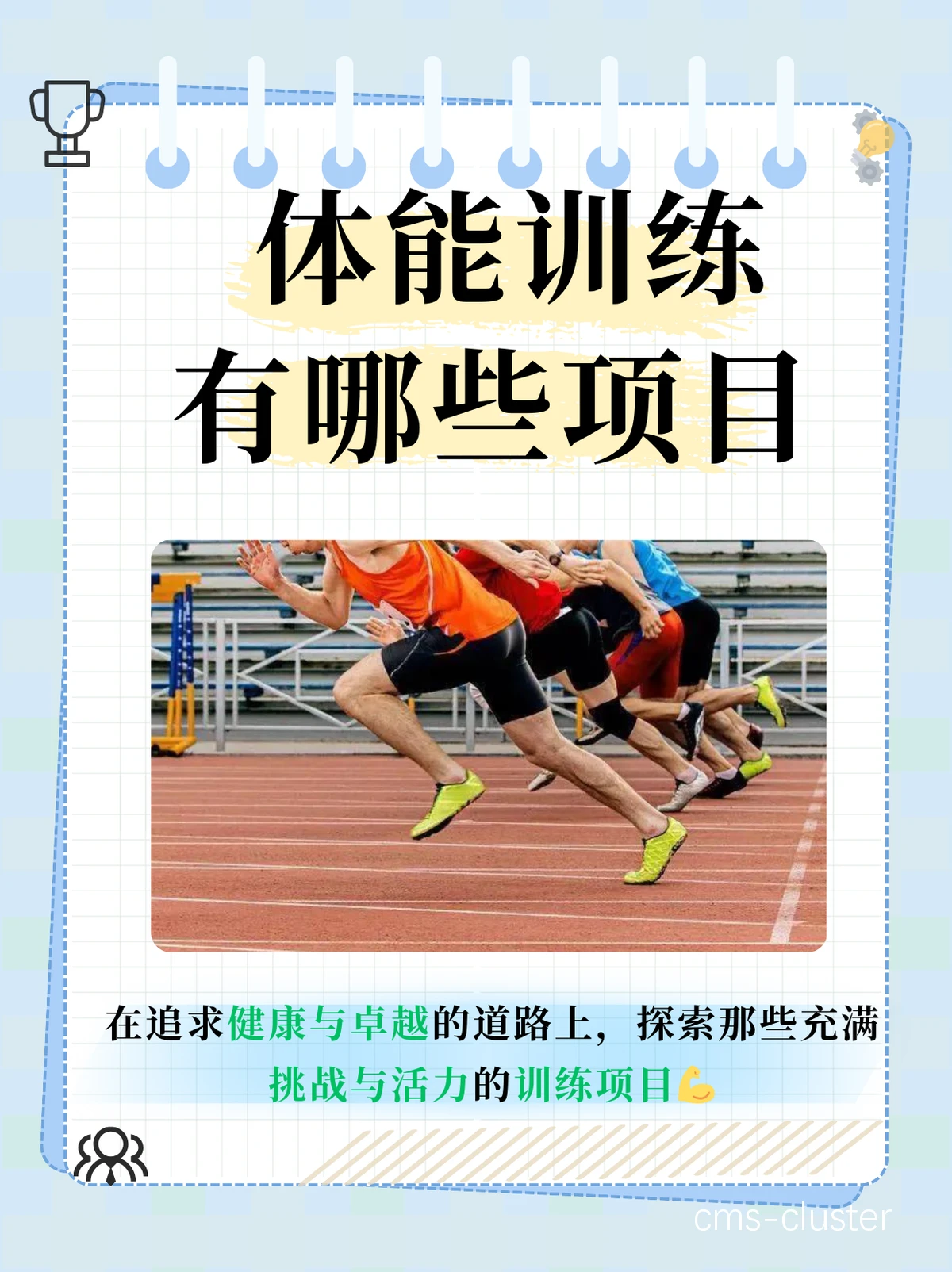 体能训练计划
