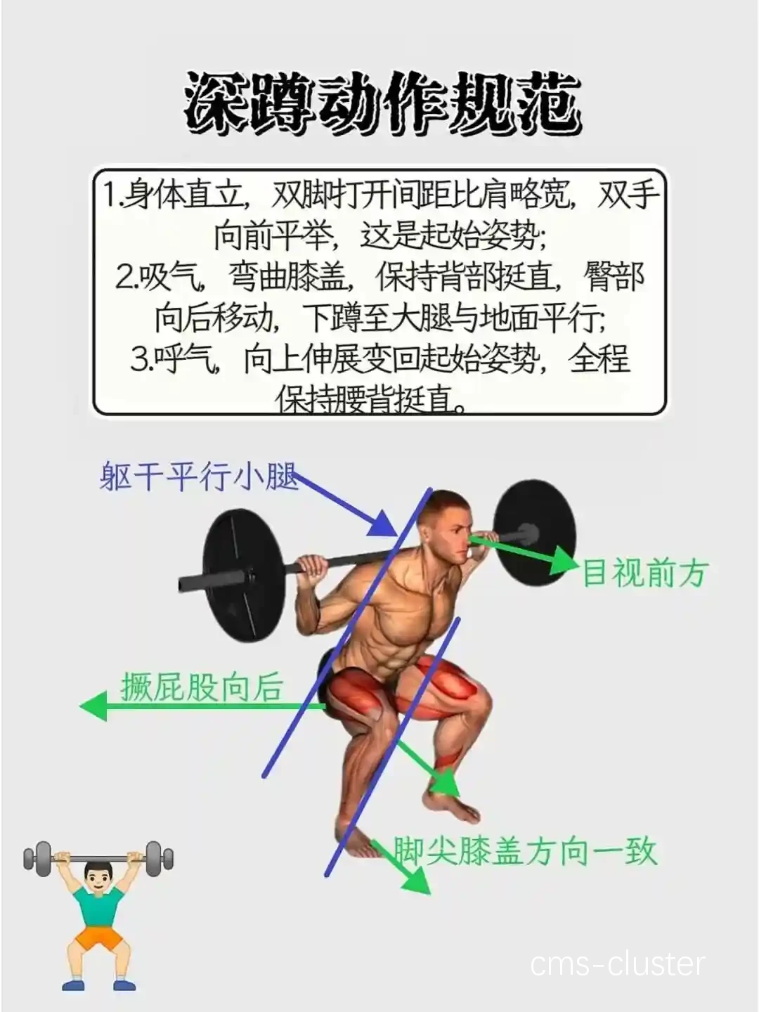 体能训练示意图