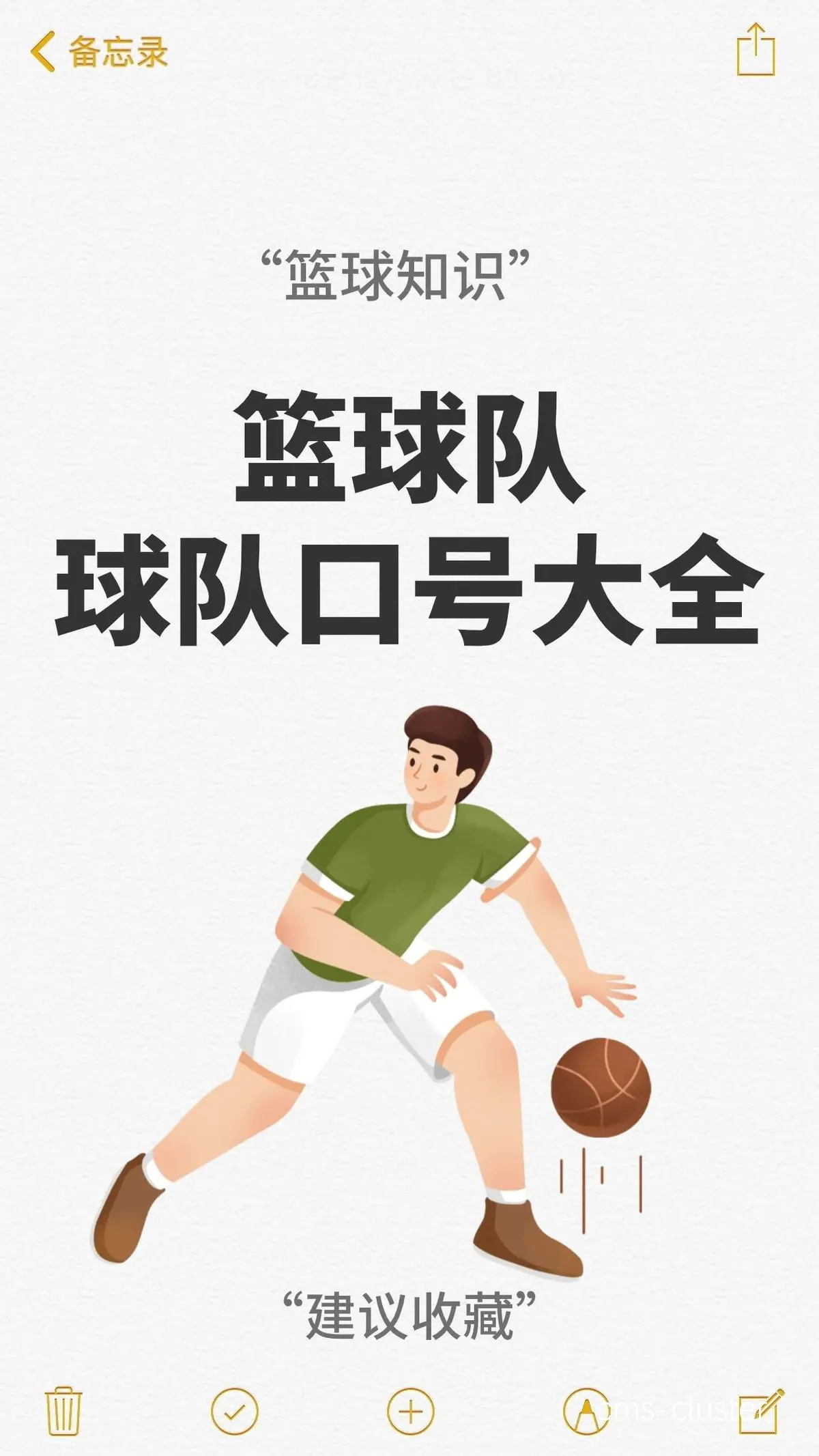 团队训练