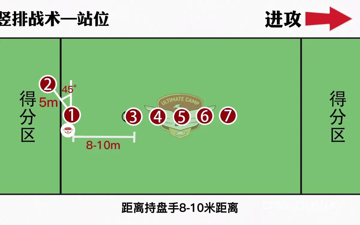 团队战术优化
