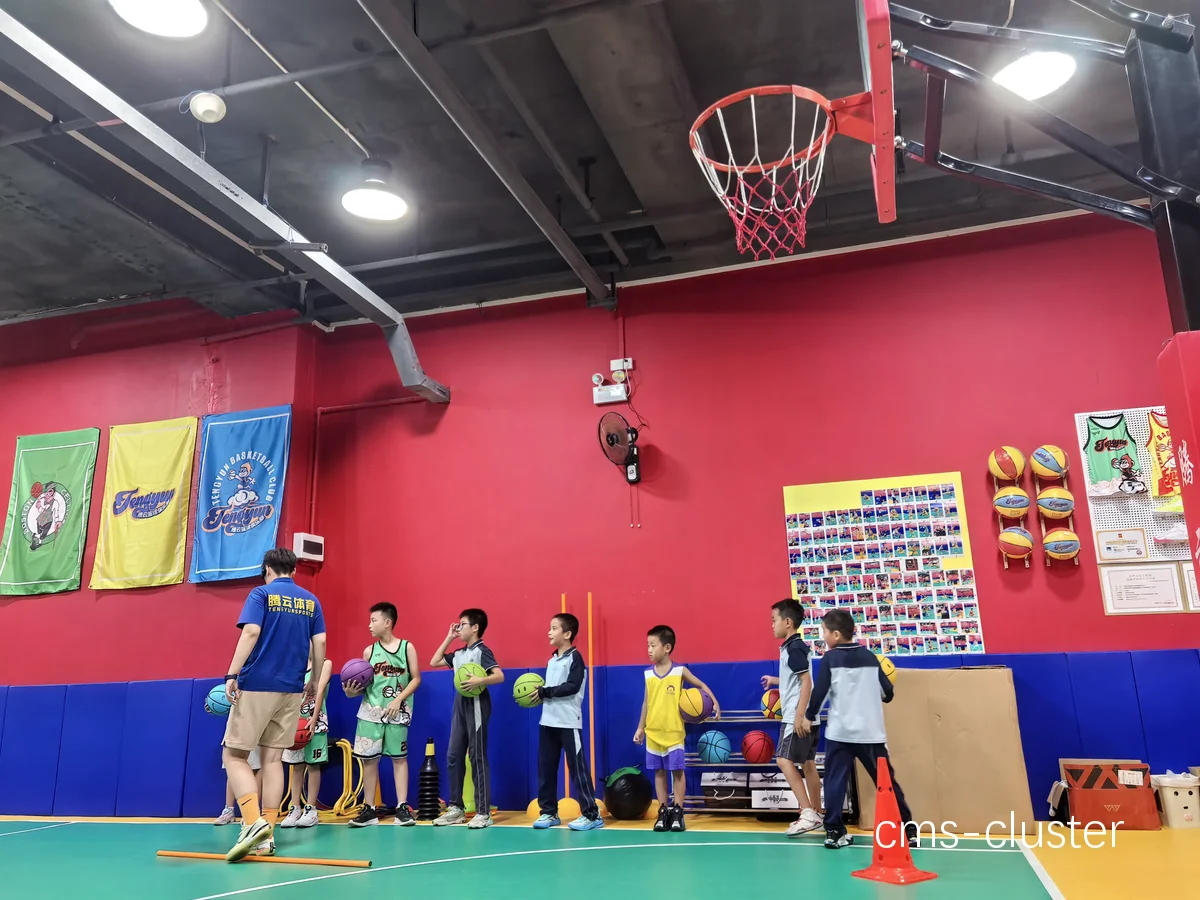 VR篮球训练