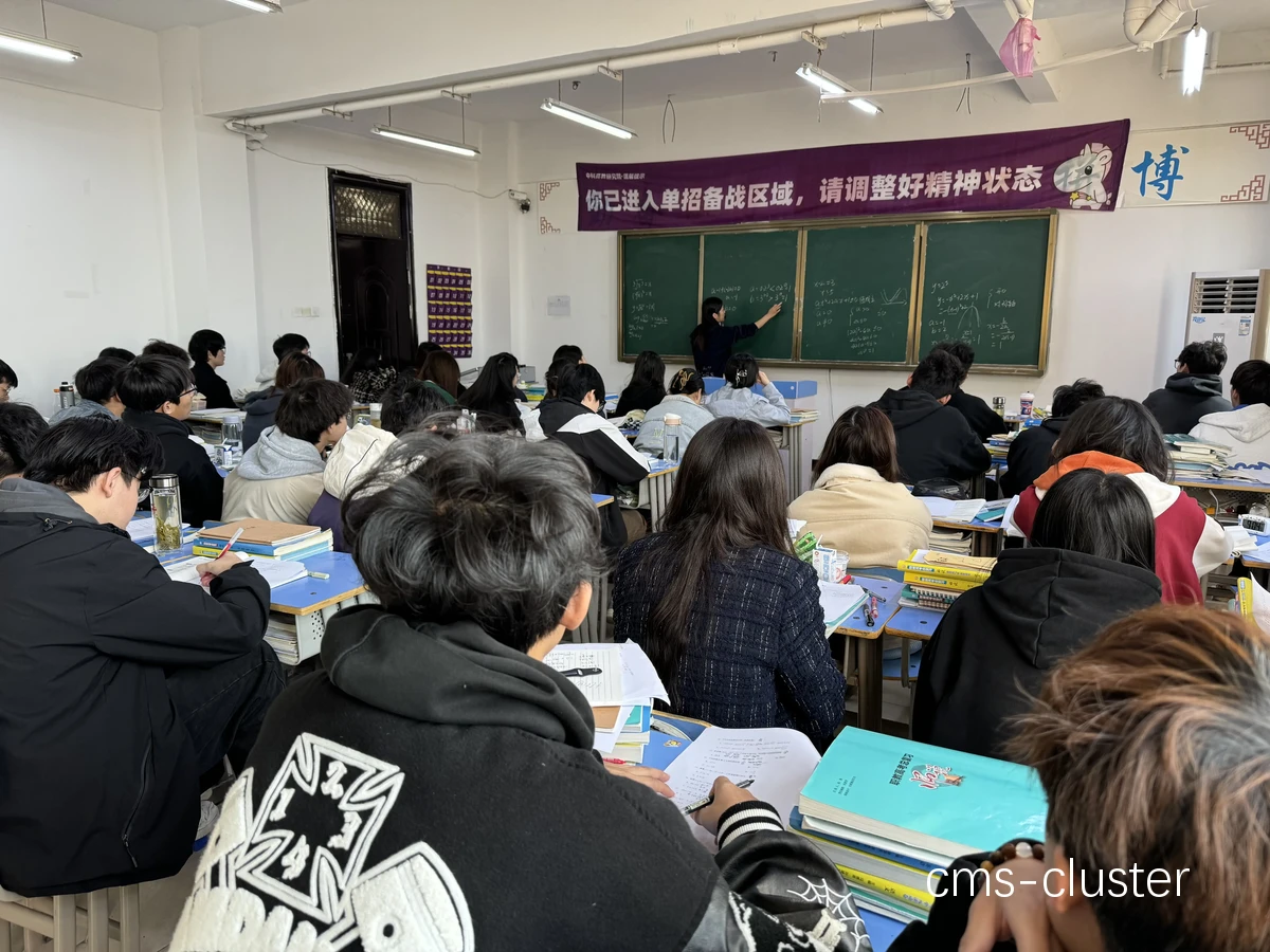 线下训练营