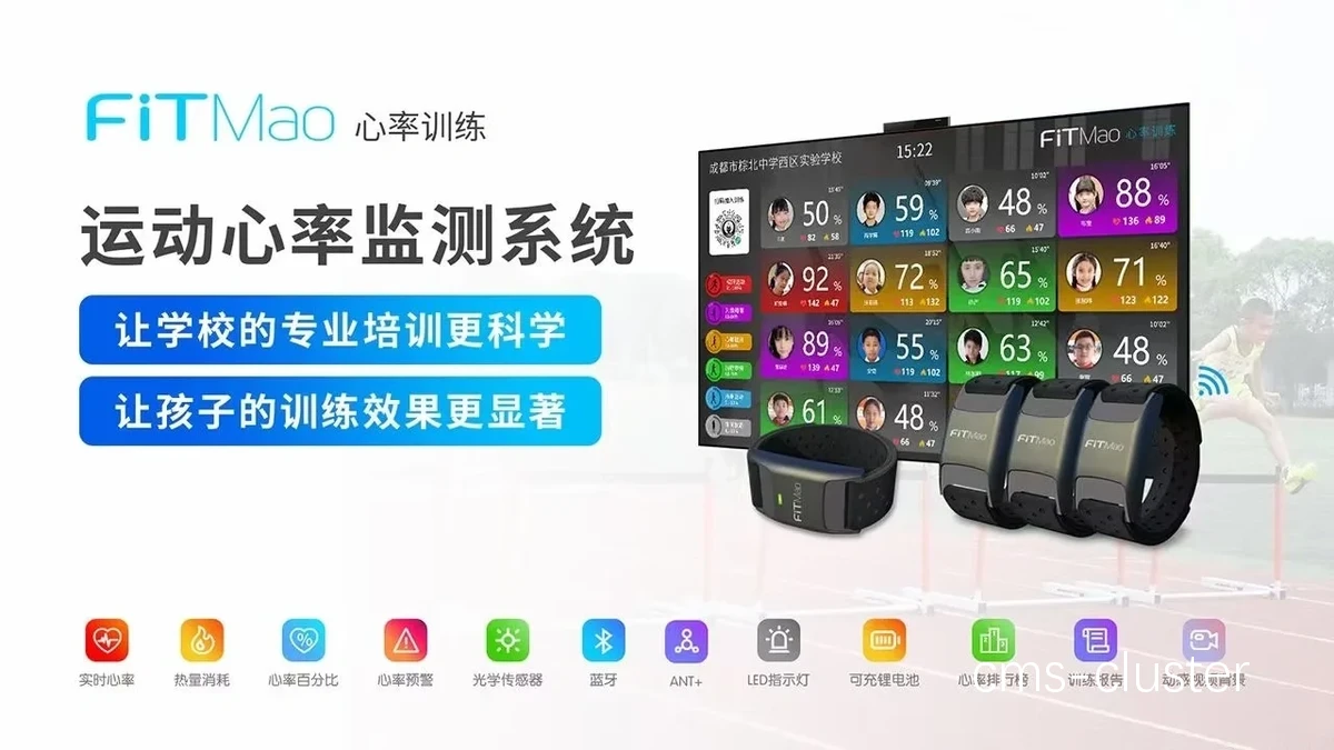 心率监测示意图