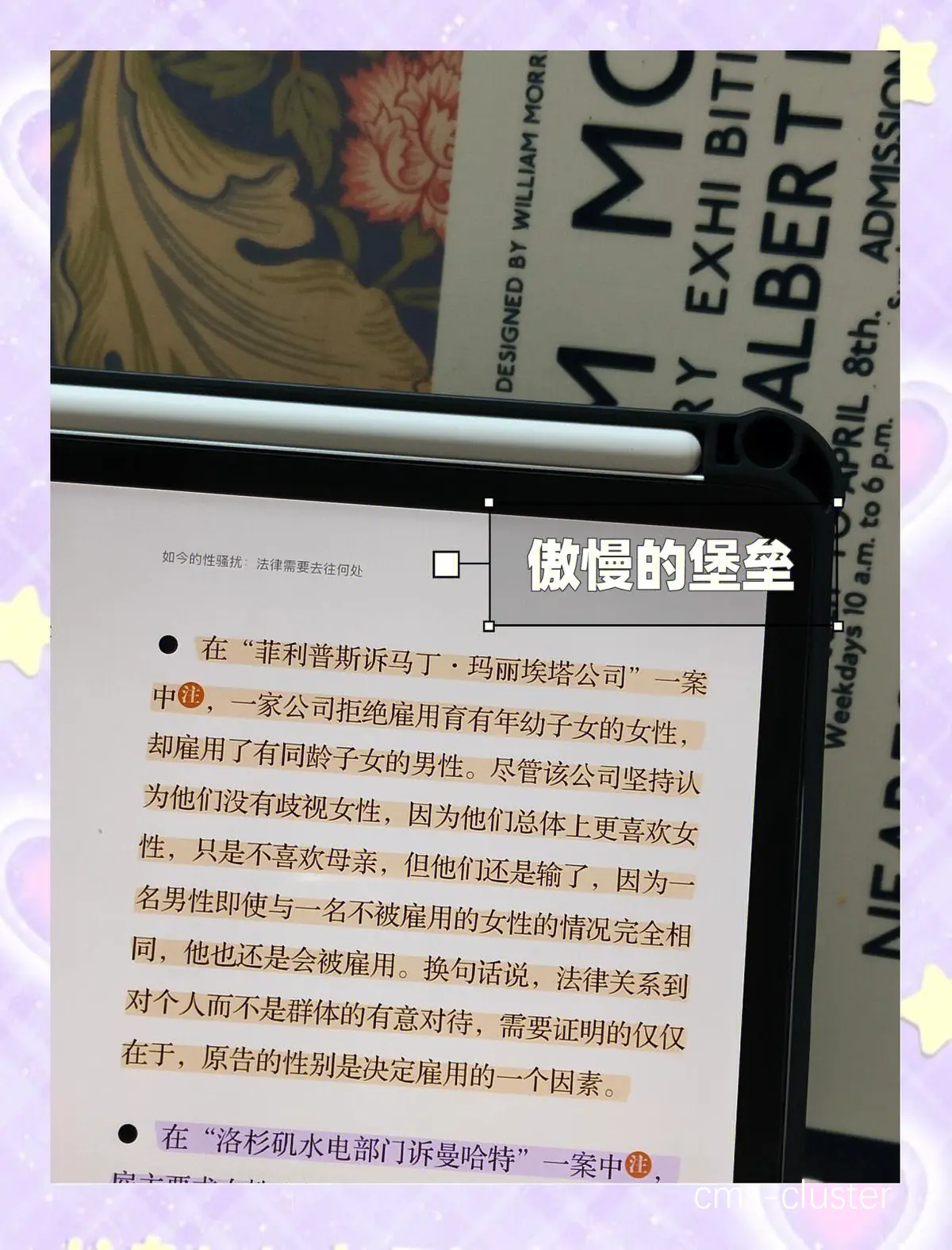 性别偏见对女篮的影响