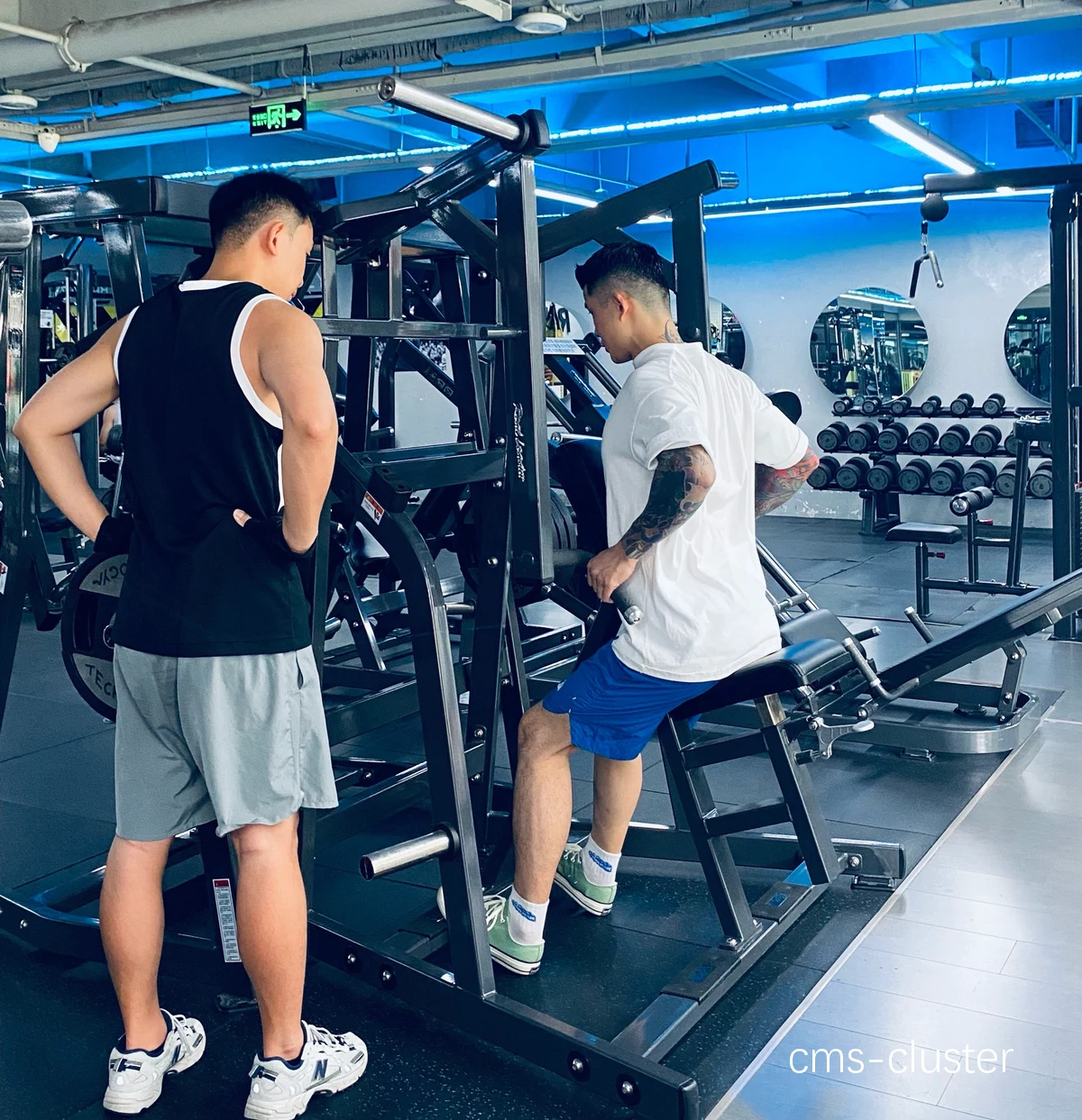 训练营 vs 私人教练