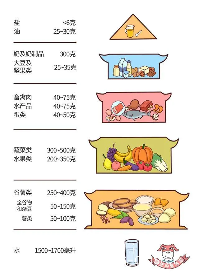 营养搭配示意图