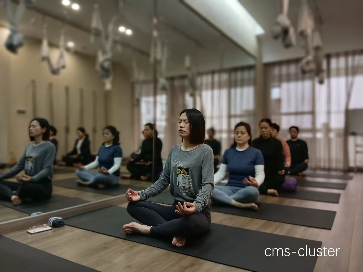 瑜伽与冥想结合训练
