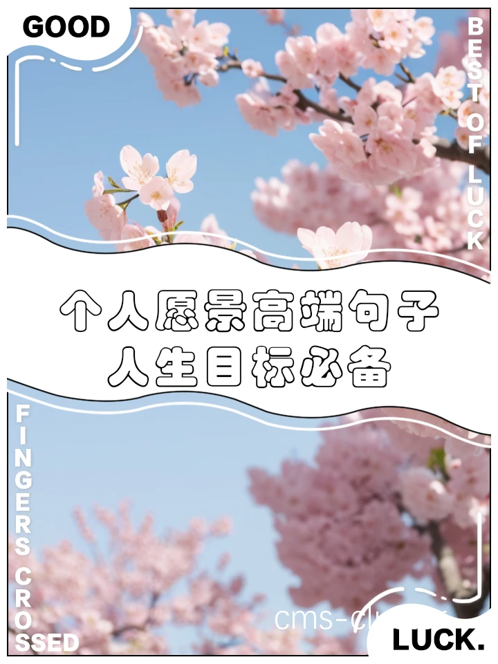 愿景的重要性