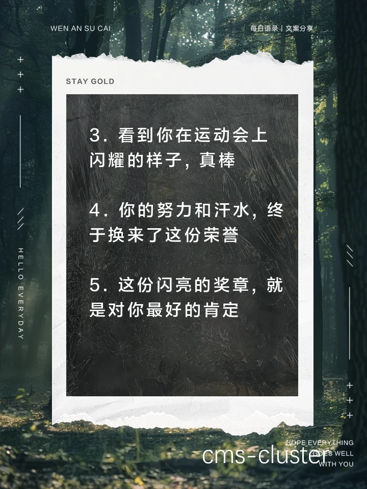 长期累积奖励示例