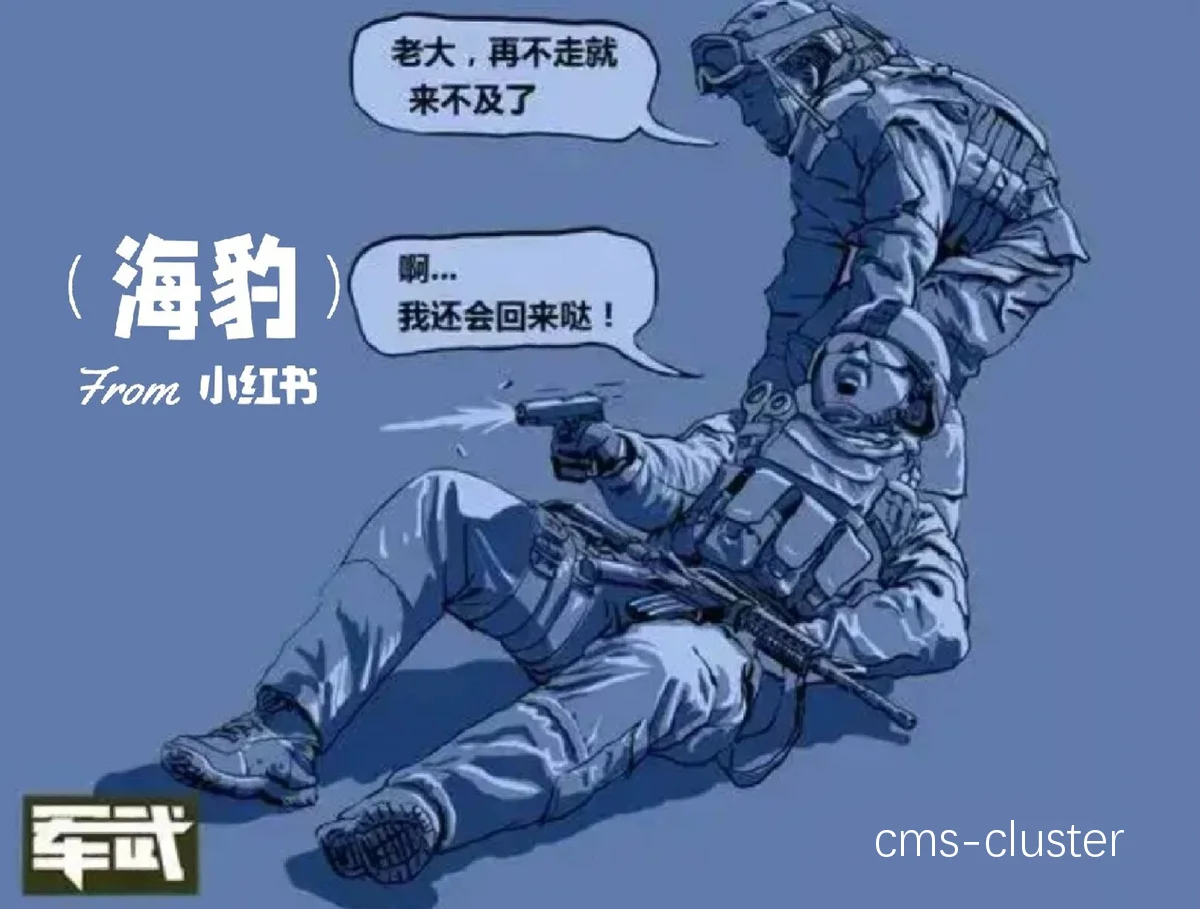 中级阶段训练示例