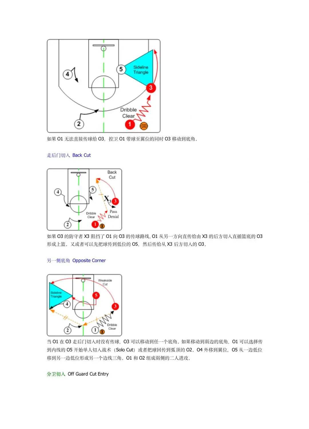 专业教练与球员互动
