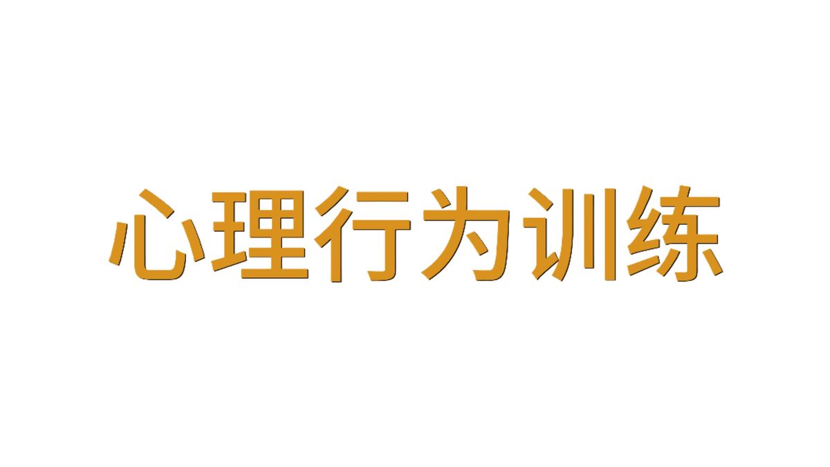 综合训练示意图