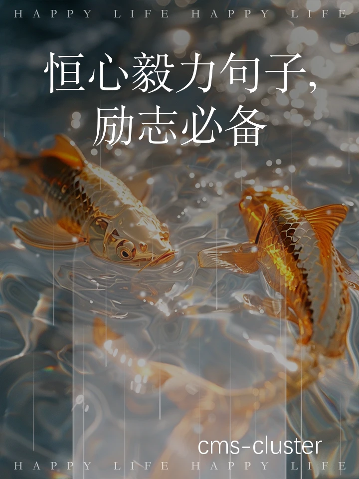 总结