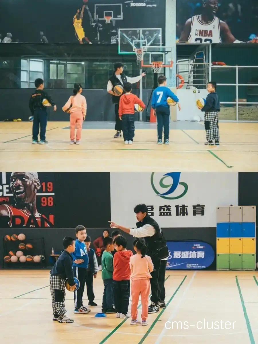 总结图